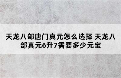 天龙八部唐门真元怎么选择 天龙八部真元6升7需要多少元宝